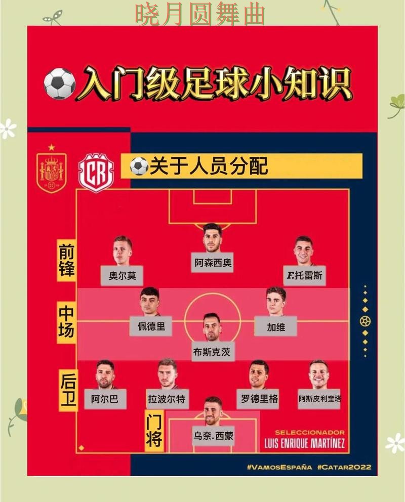 世界杯买球官网新手入门规则解析实用指南 世界杯买球官网新手入门规则解析实用指南